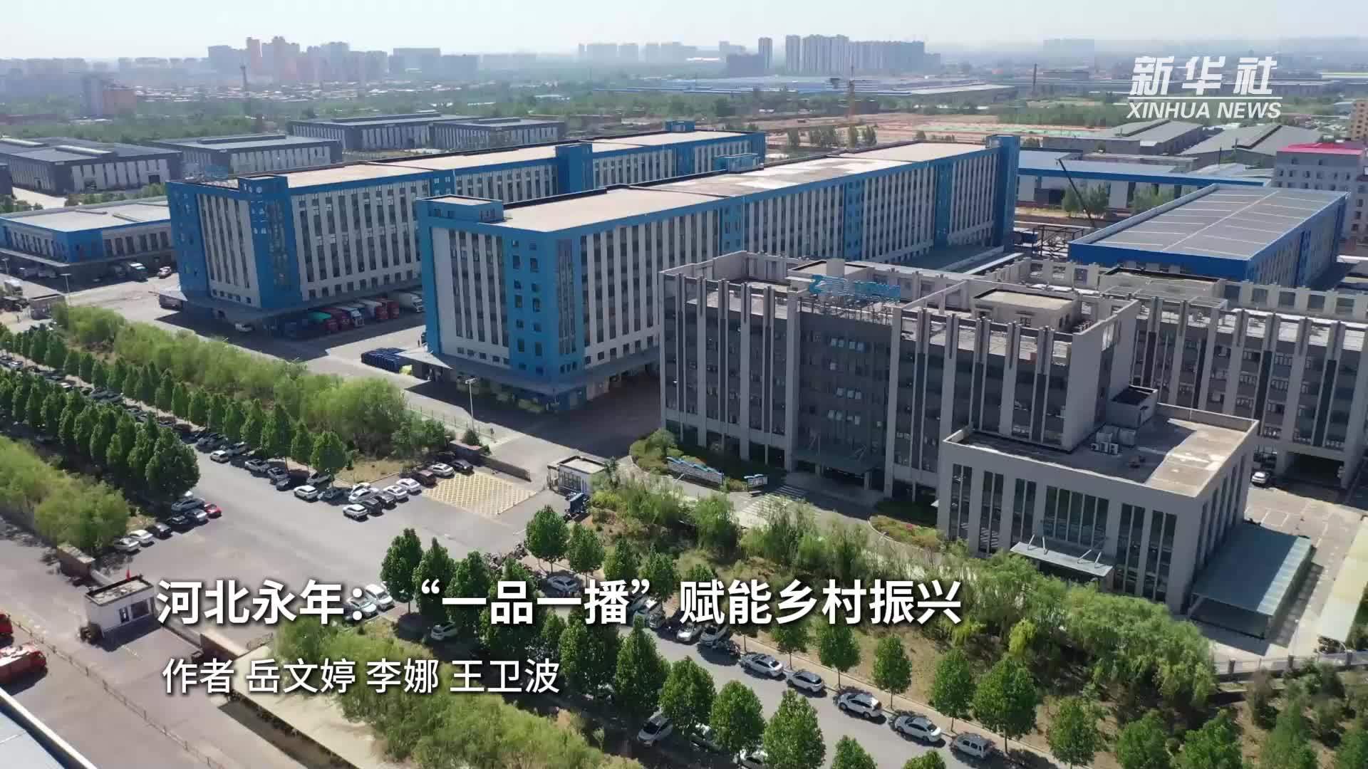 河北永年：“一品一播”赋能乡村振兴