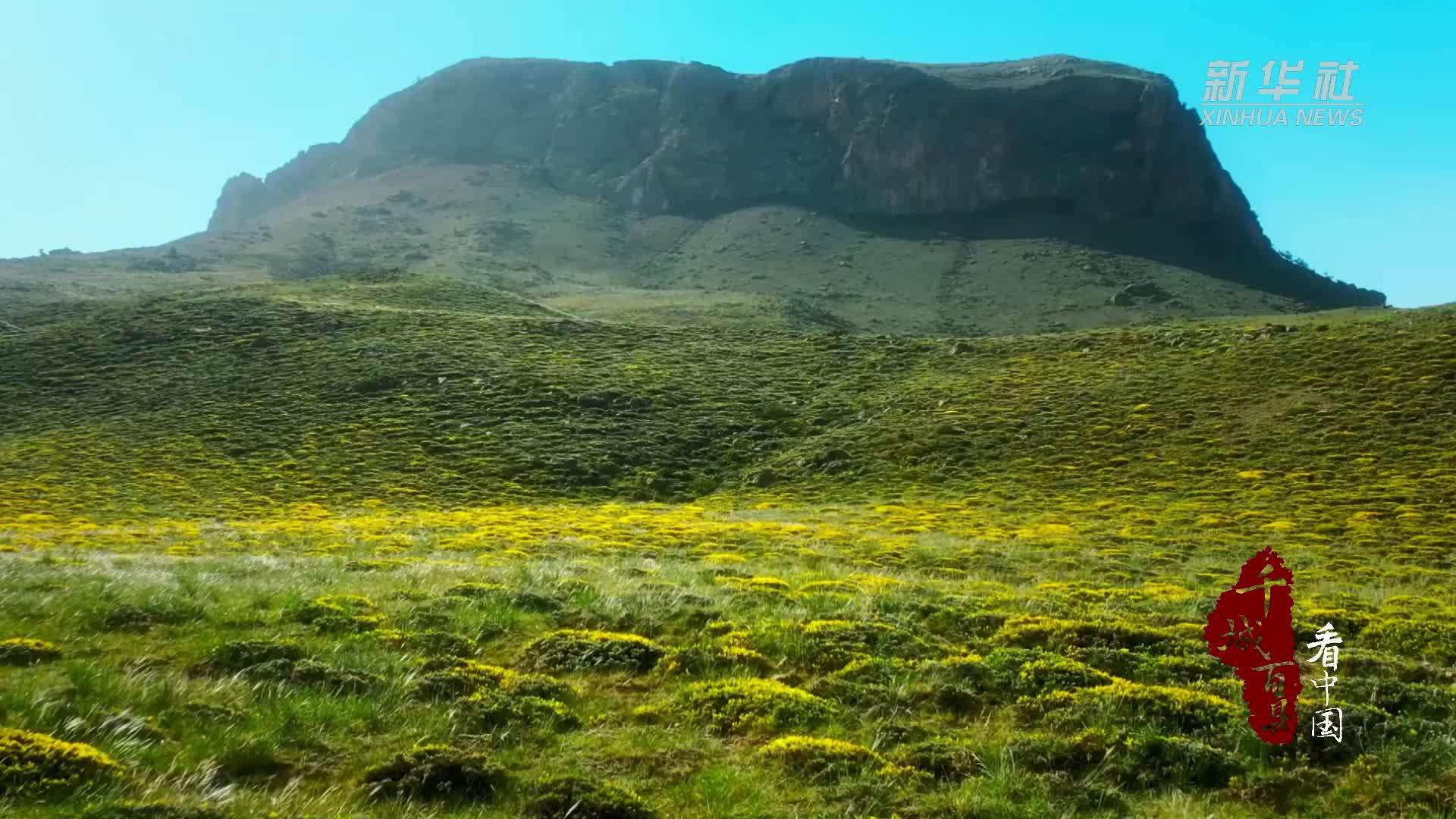 千城百县看中国｜内蒙古：贺兰山里的夏日浪漫