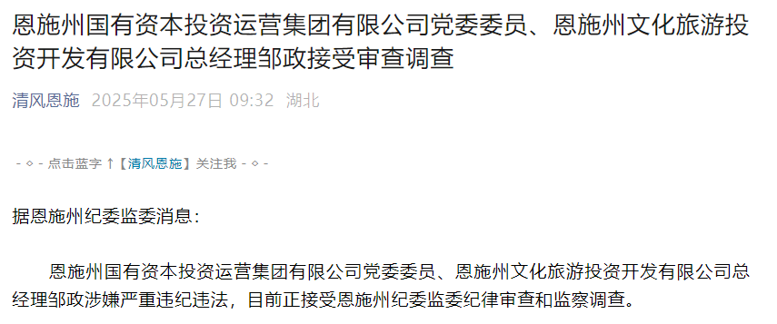 湖北两人被查