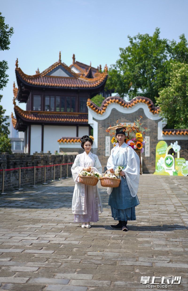 盛装打扮的簪花郎在天心阁送栀子花。