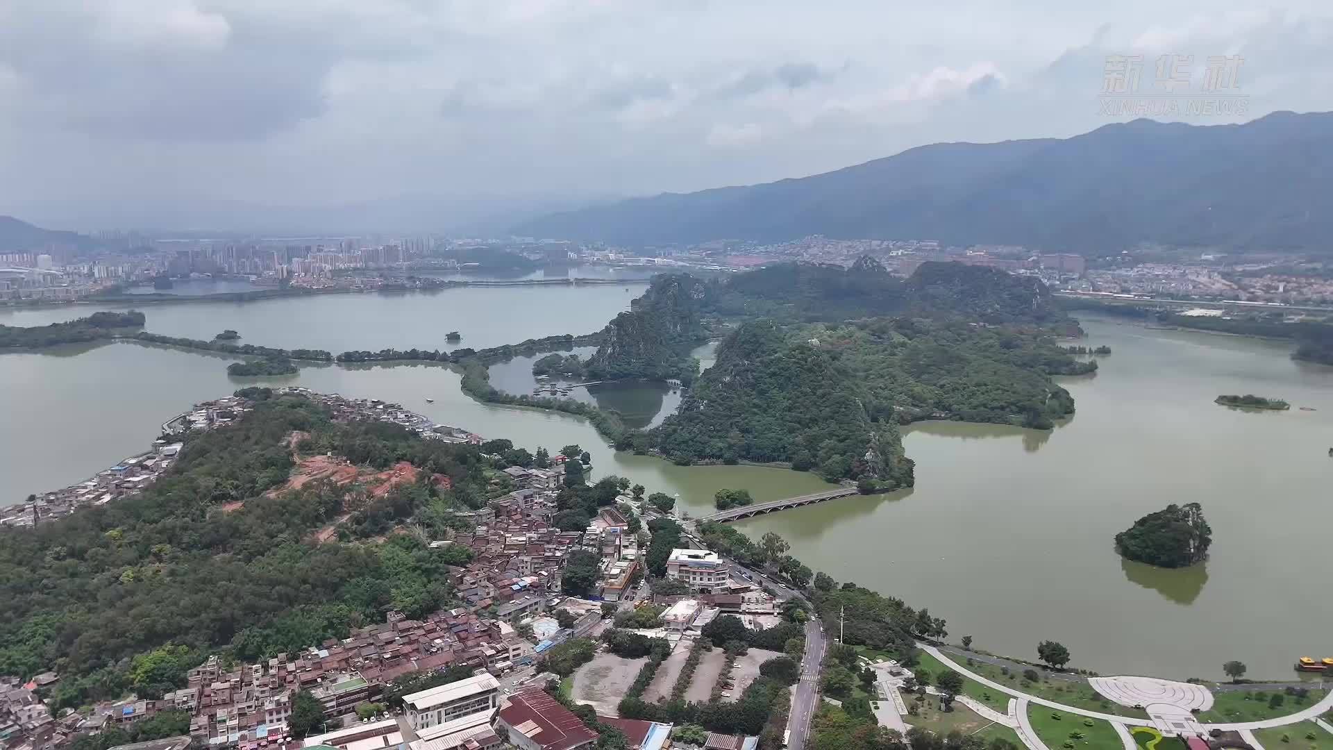 端午节将至 裹蒸粽迎来发货旺季