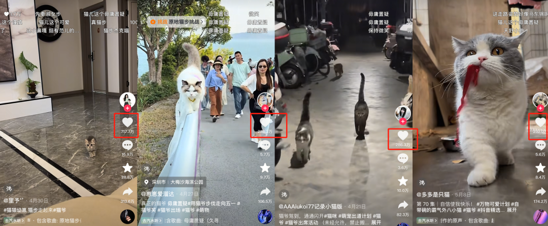 30天涨粉193万,全民模仿的“原地猫步”是怎么走红的?