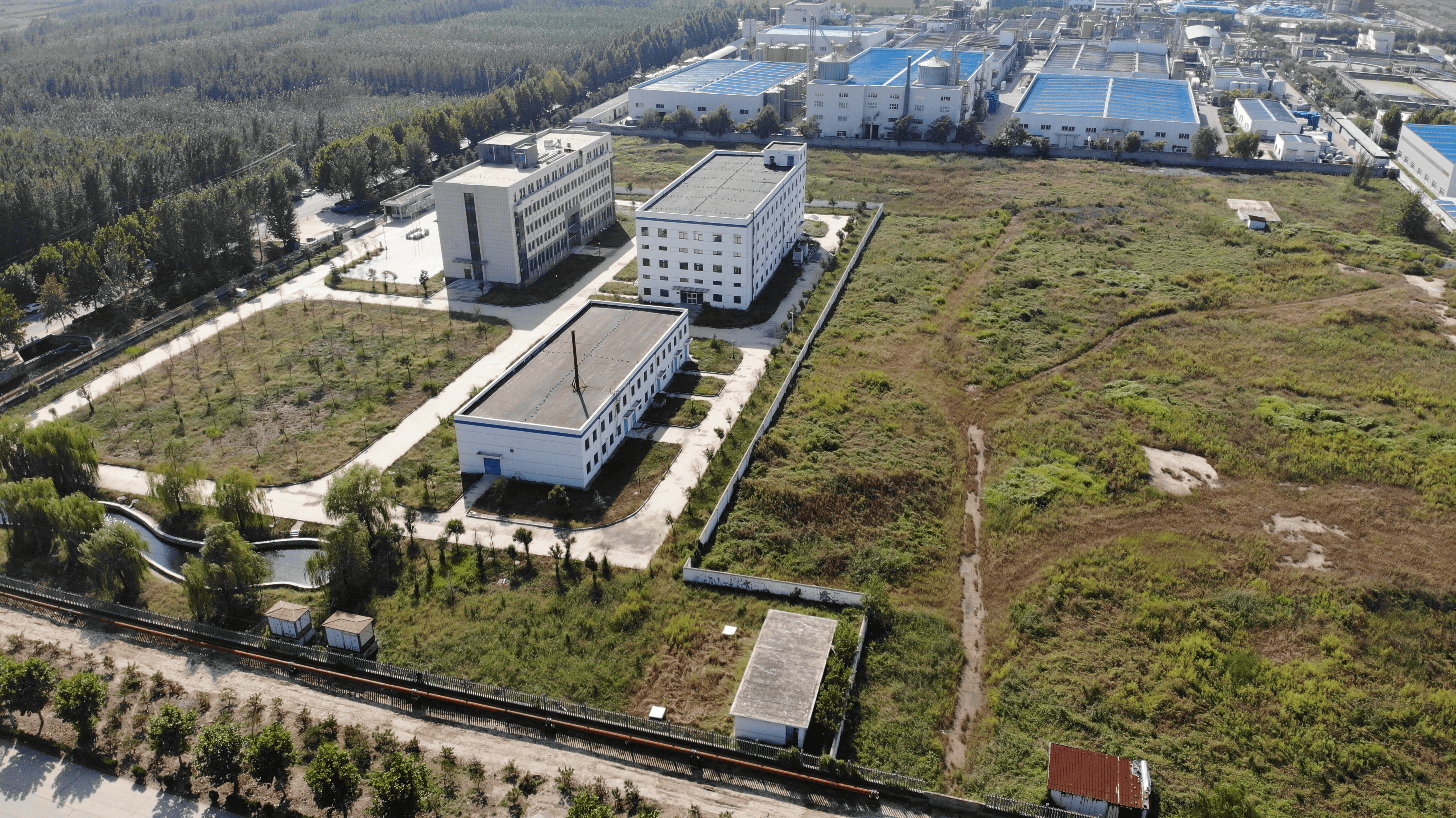 岱岳区鲁岳生物项目地块 通讯员供图