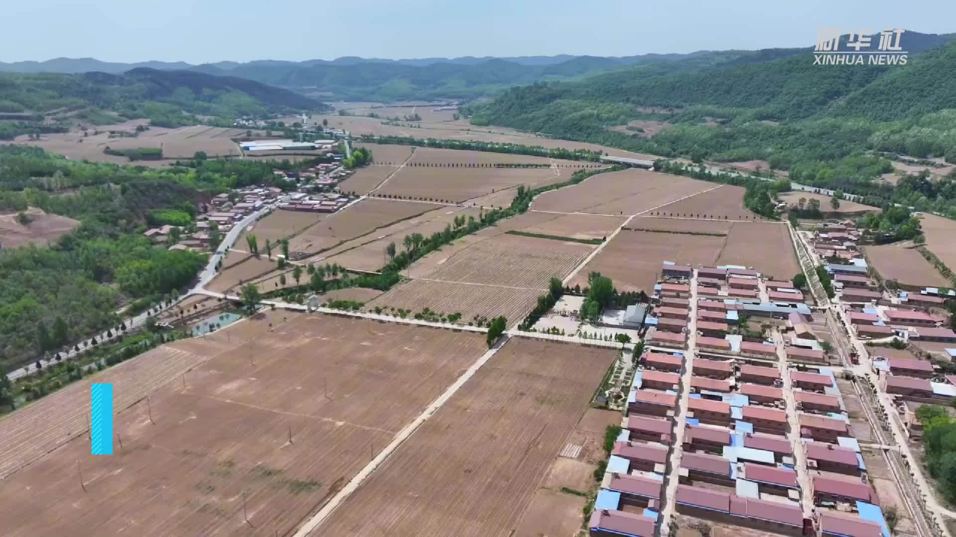 陕西富县：全力抗旱力保秋粮稳产