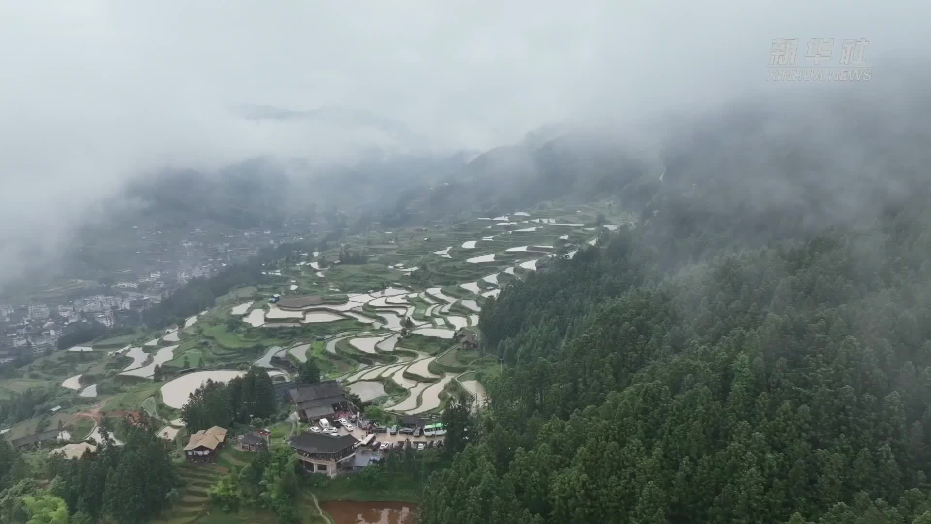 来“牛耕部落”赏古老农耕画卷