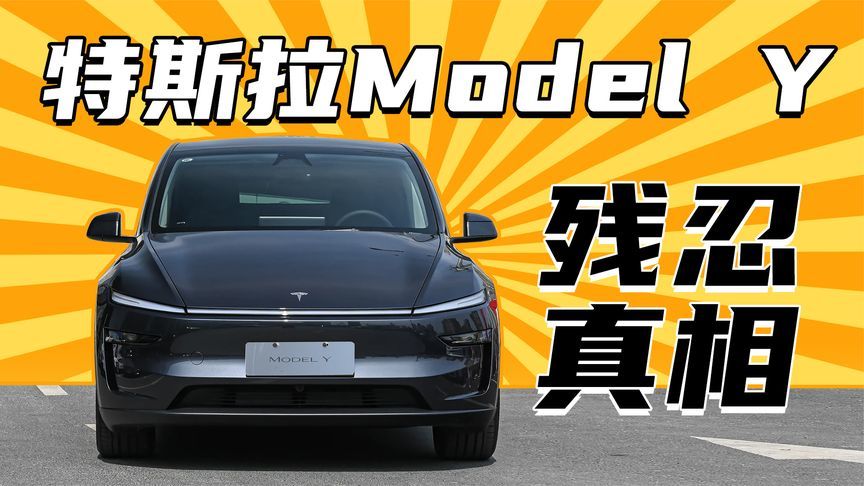要啥没啥，为啥大家这么热衷于买特斯拉Model Y？