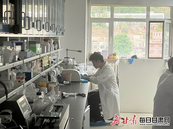 (兰州兽医所人员正在做实验)