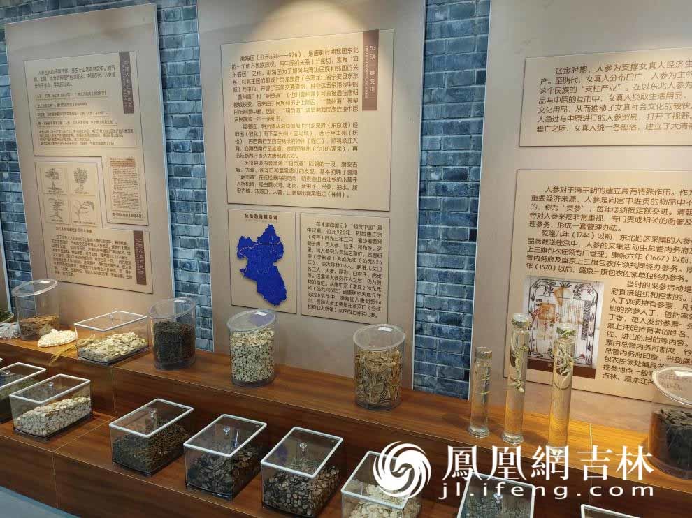 绿水青山成万良参农的“幸福靠山”
