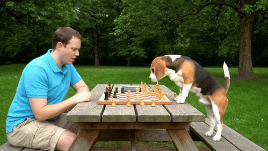 可灵与谷歌贴身肉搏