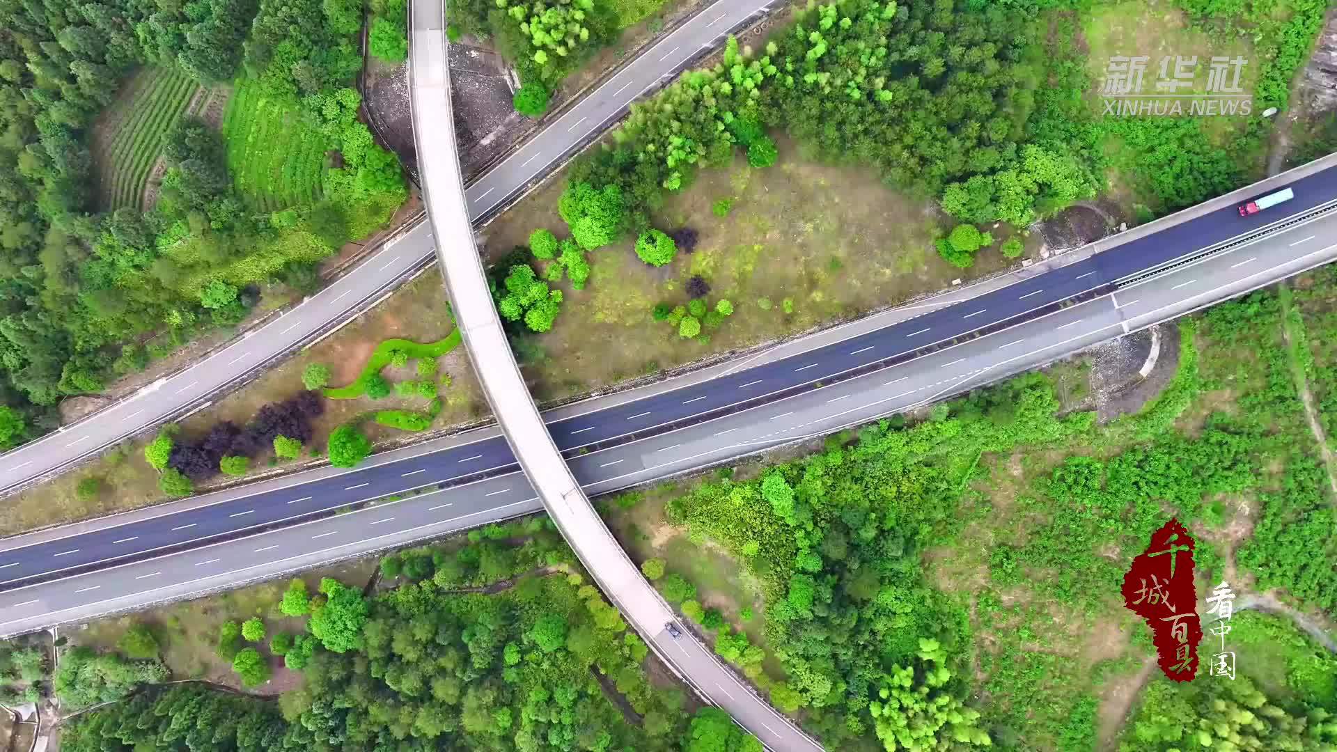 千城百县看中国｜福建邵武：桃子成熟季 采摘正当时