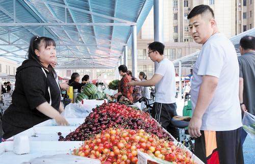 6月4日，消费者在赵庄早市选购水果。本报记者 王育民摄