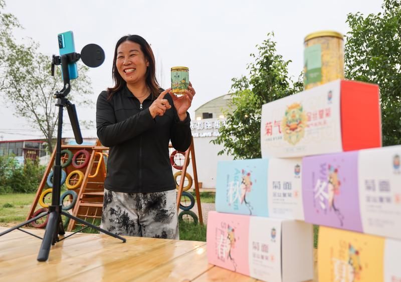 复兴区前牛叫村的村民在直播销售金丝皇菊。新华社记者 赵鸿宇 摄