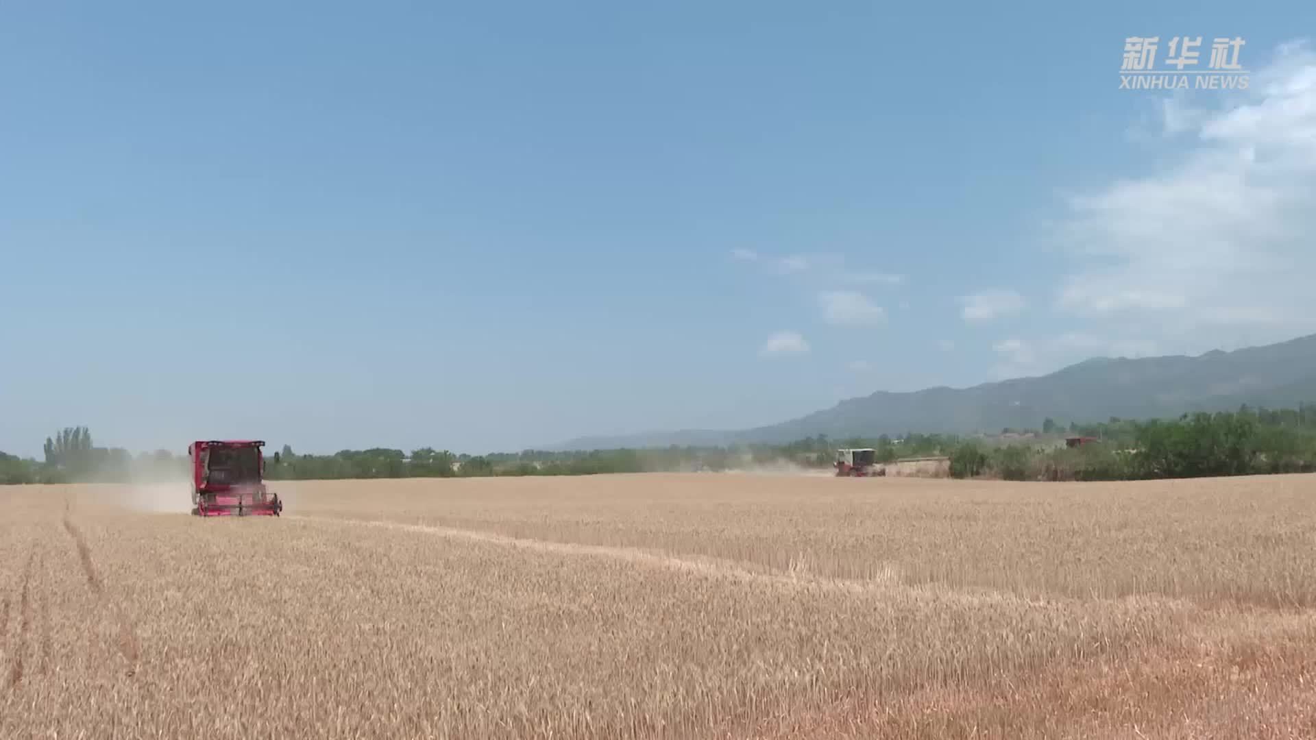 陕西岐山：“嘟嘟农机”再升级 做好“三夏”“店小二”