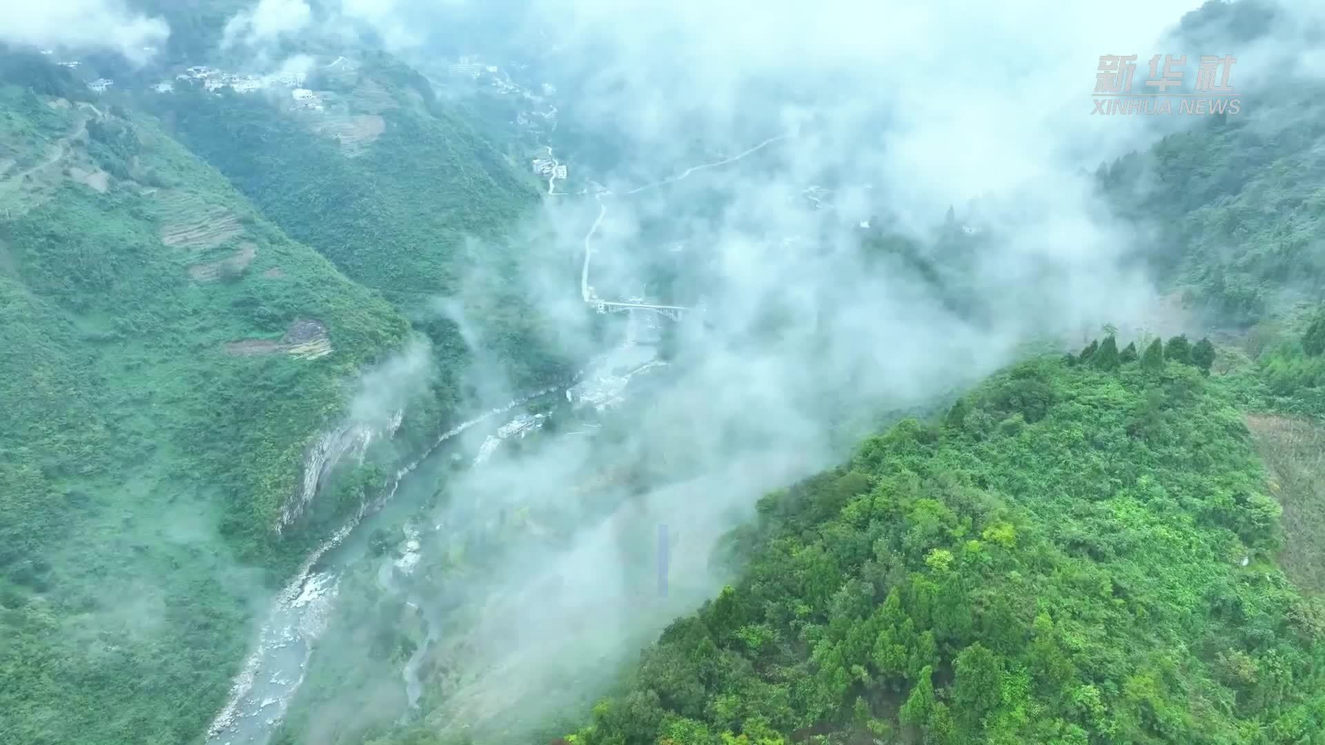 长江中下游鱼种红鳍原鲌首现赤水河上游