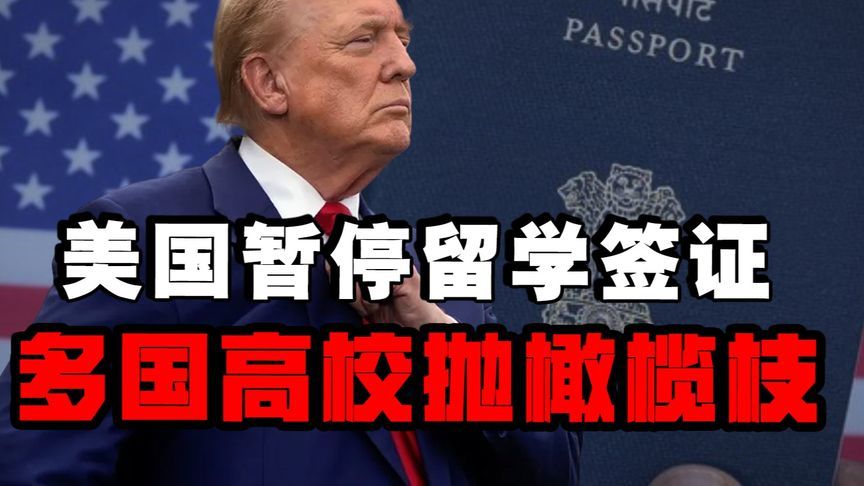 美国暂停留学签证严查社交媒体，多国高校争抢生源 #热点新闻事件