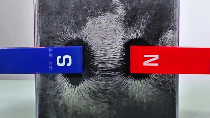 看得见的磁场！两磁铁靠近的一刹那，铁屑“万箭穿心”！好神奇