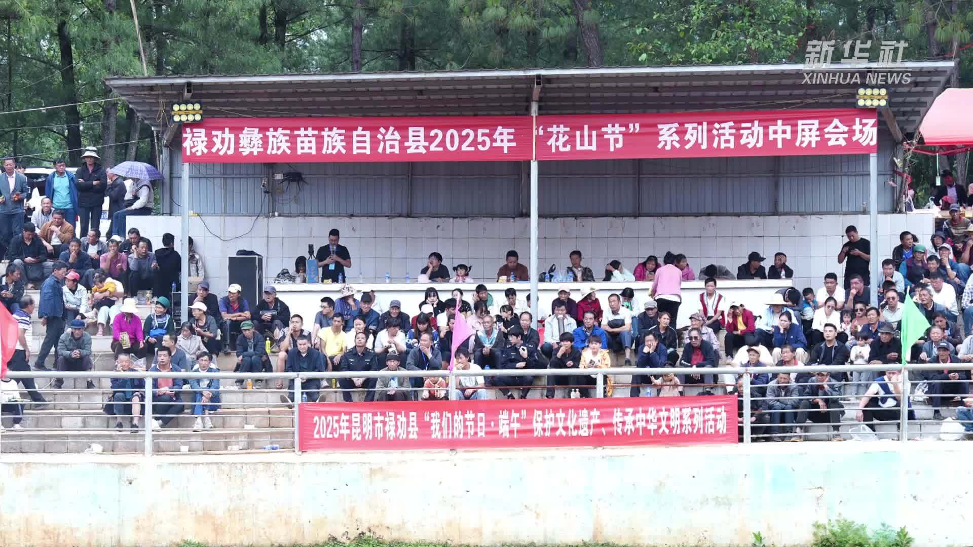 云南禄劝：“村BA”与“牛王争霸赛”引爆假日狂欢