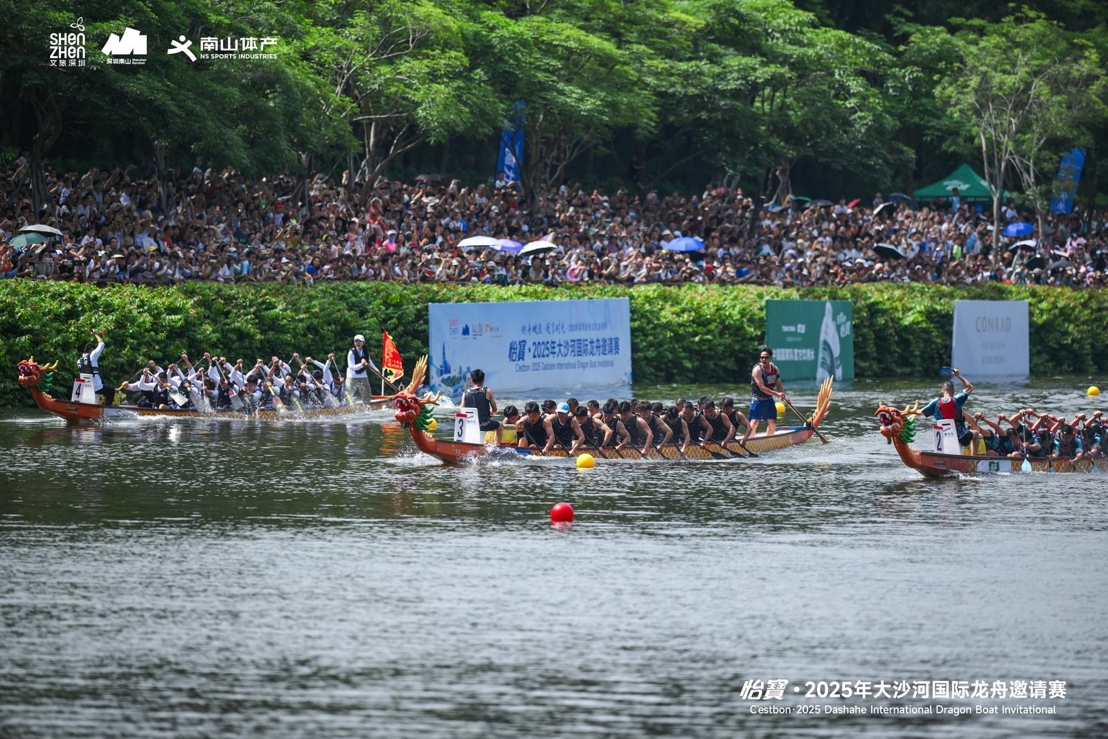 龙舟竞渡迎端午，怡寳・2025年大沙河国际龙舟邀请赛圆满举行