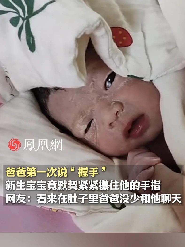 爸爸第一次和刚出生的宝宝说握手，宝宝竟然默契地攥紧爸爸的手指，网友：看来在肚子里爸爸没少和他聊天（来源：@一只弯弓射大雕的藏獒（超级奶爸）  ）#萌娃   #可爱  #亲子互动  #爸爸  #家庭