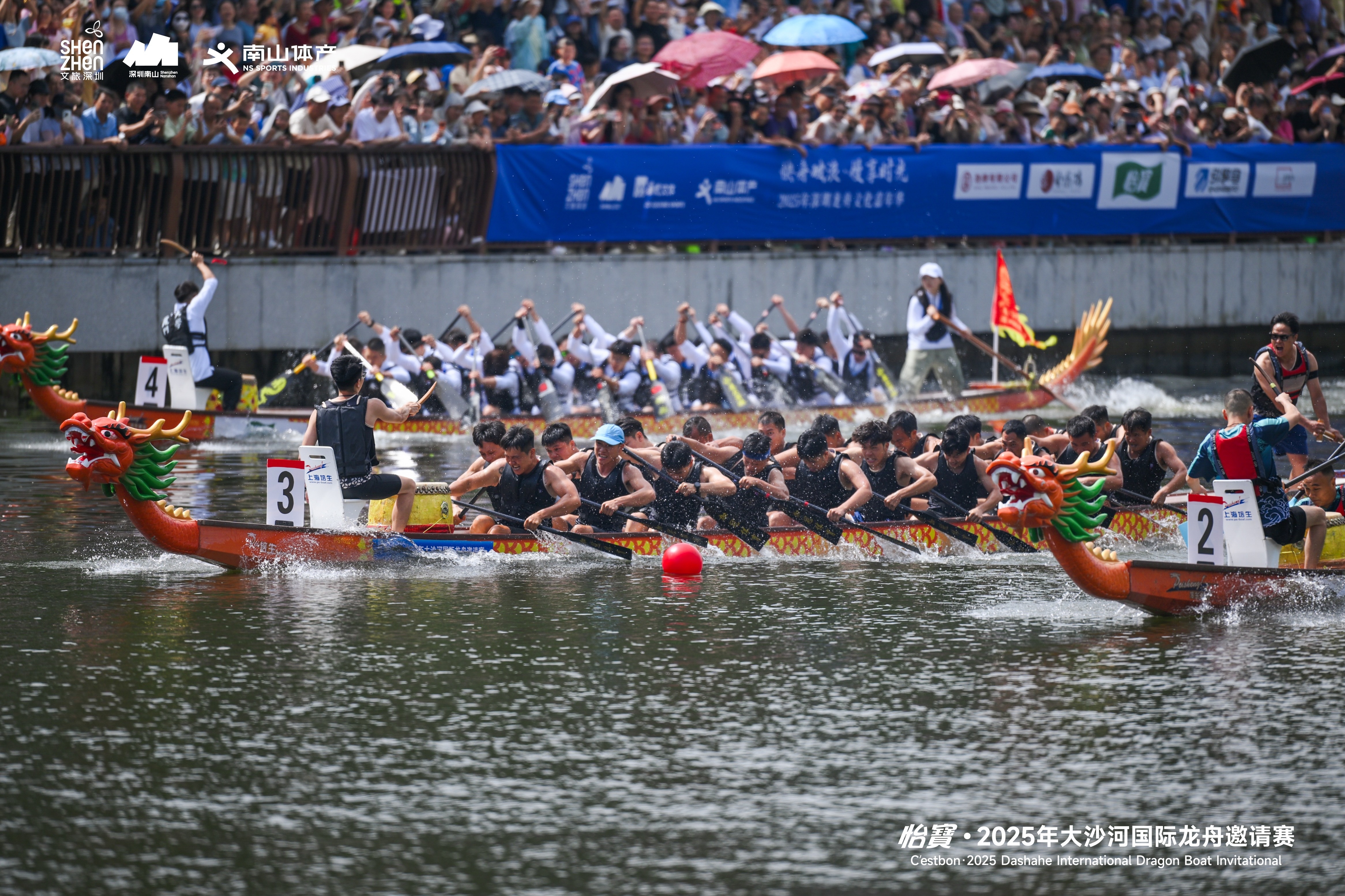 龙舟竞渡迎端午，怡寳・2025年大沙河国际龙舟邀请赛圆满举行