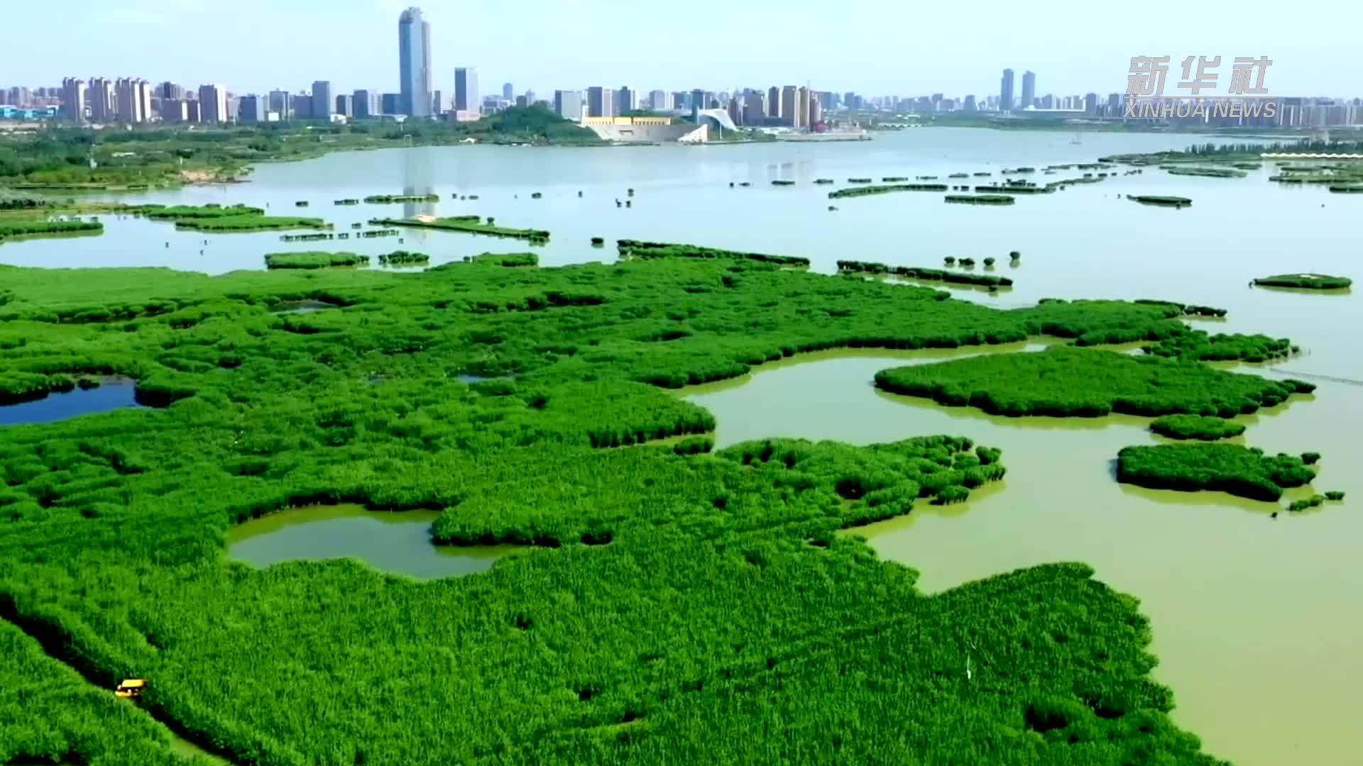 聚人气 拓市场 共奋进——“塞上江南”经济焕发新活力