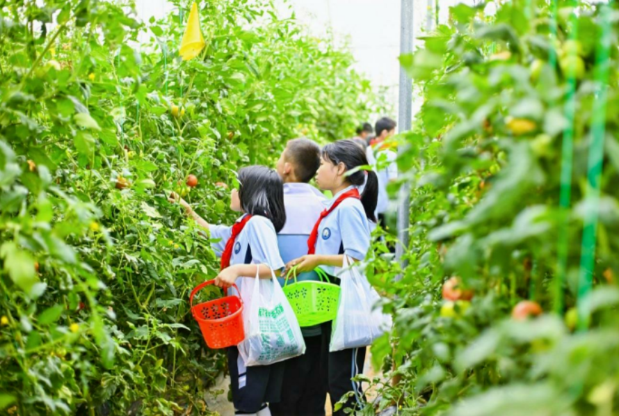 26条精品线路公布!咸阳2条入选