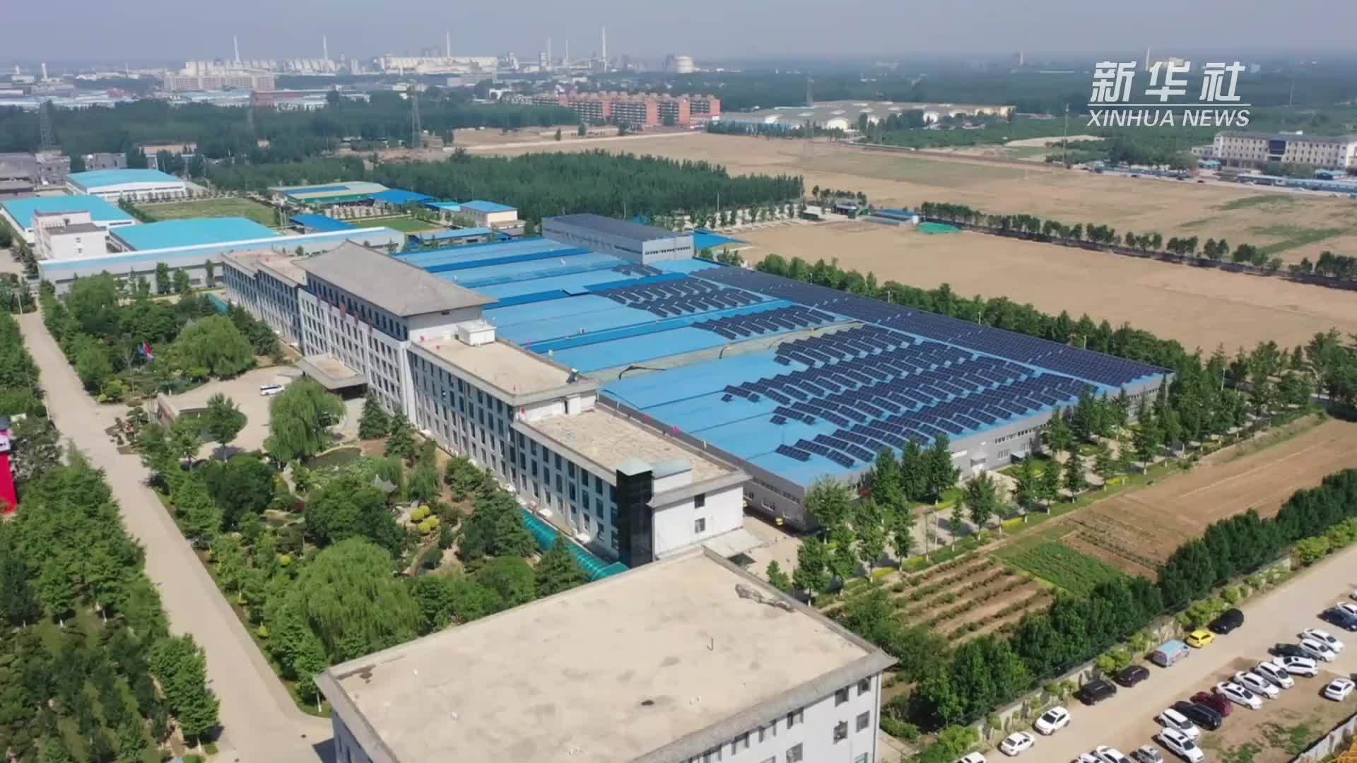 全国爱眼日｜关注眼健康 守护“睛”彩人生