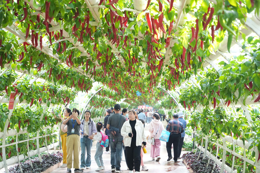 4月20日，人们在第二十六届中国（寿光）国际蔬菜科技博览会上参观。新华社记者 徐速绘 摄