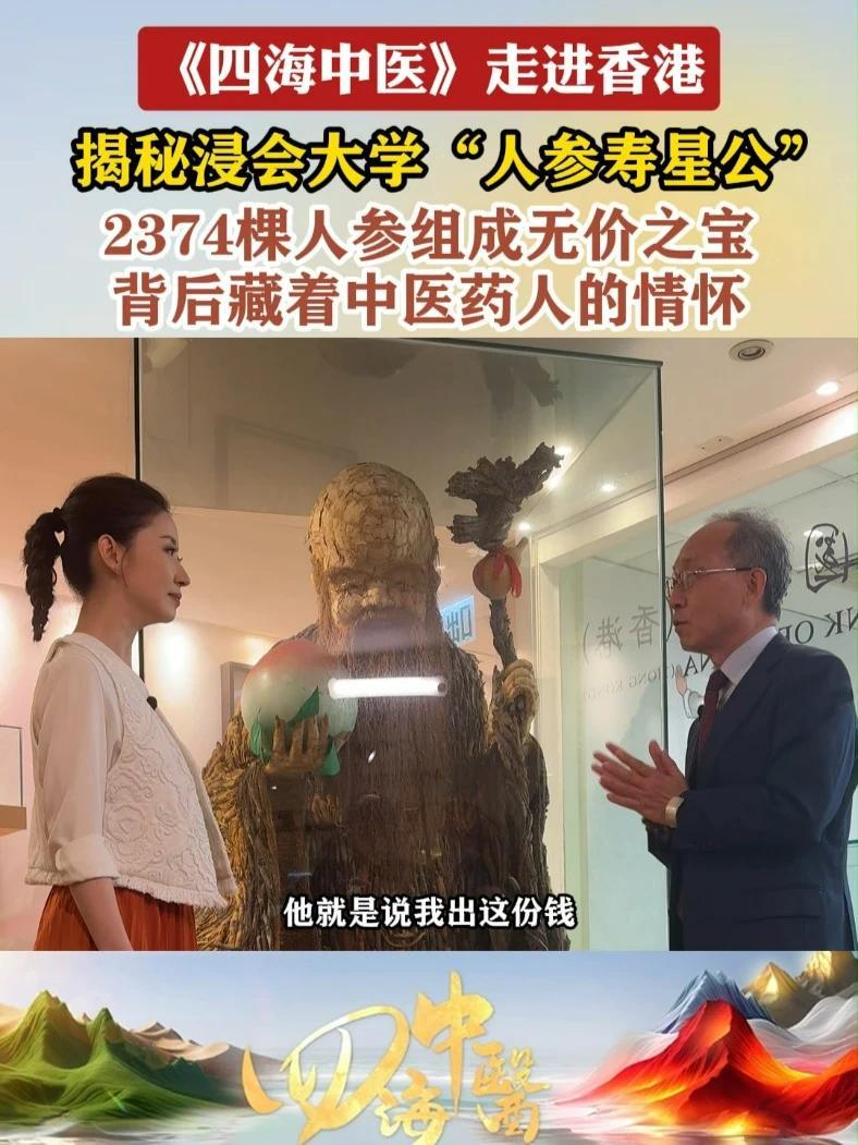揭秘浸会大学“人参寿星公” #四海中医四海中医走进香港 揭秘浸会大学“人参寿星公” 2374棵人参组成无价之宝 背后藏着中医药人的情怀#四海中医