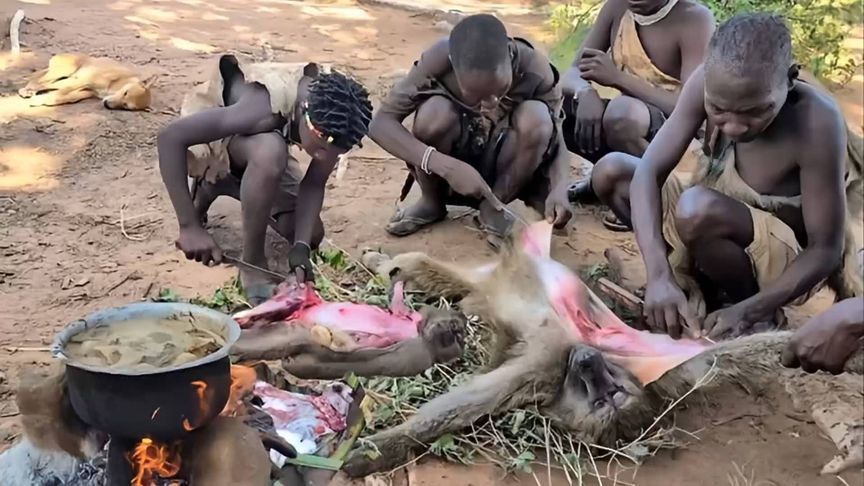 非洲哈扎比部落在丛林狩猎狒狒，直接烧烤！