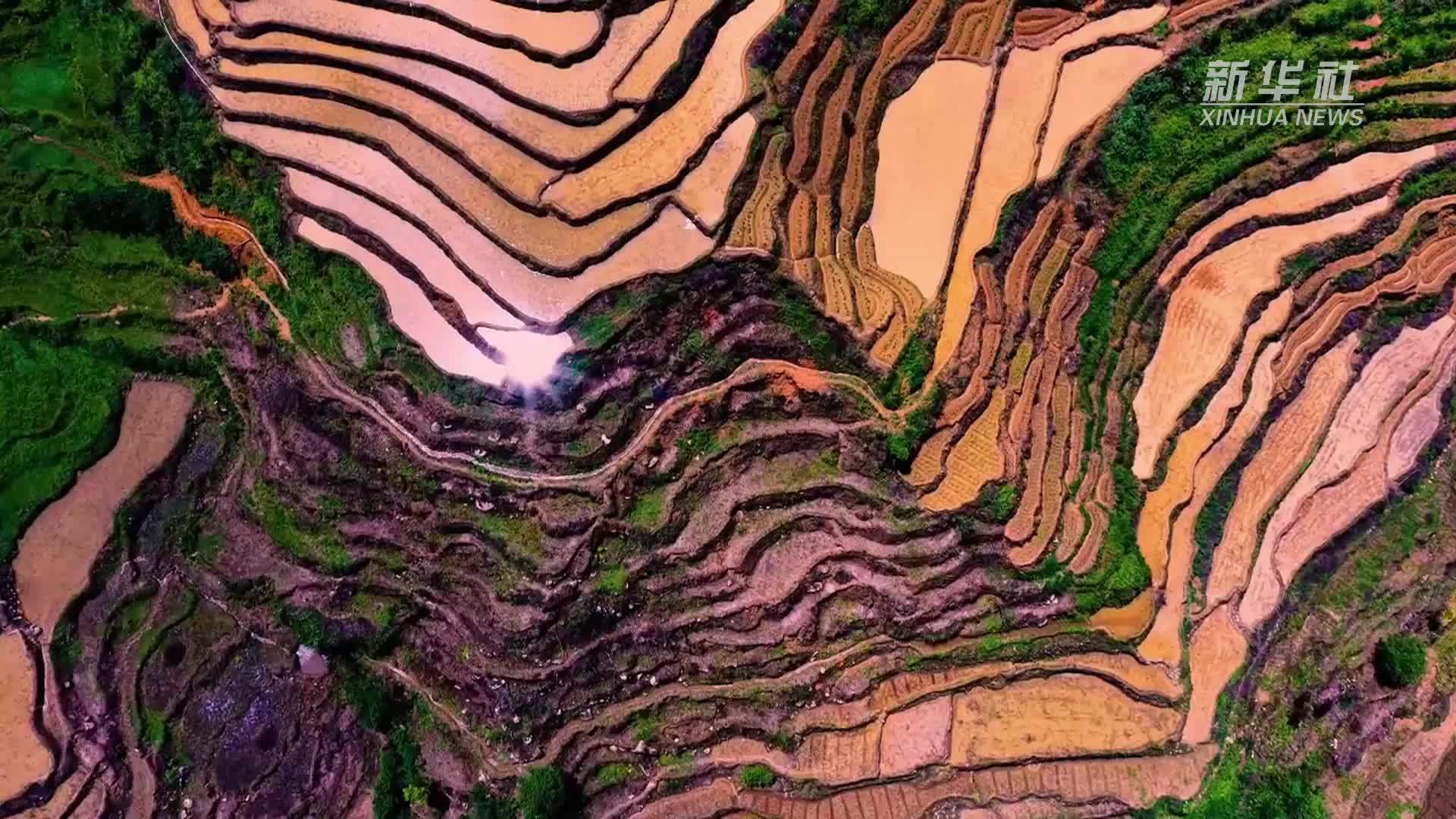 瞰中国｜梯田叠梦 恬静如诗