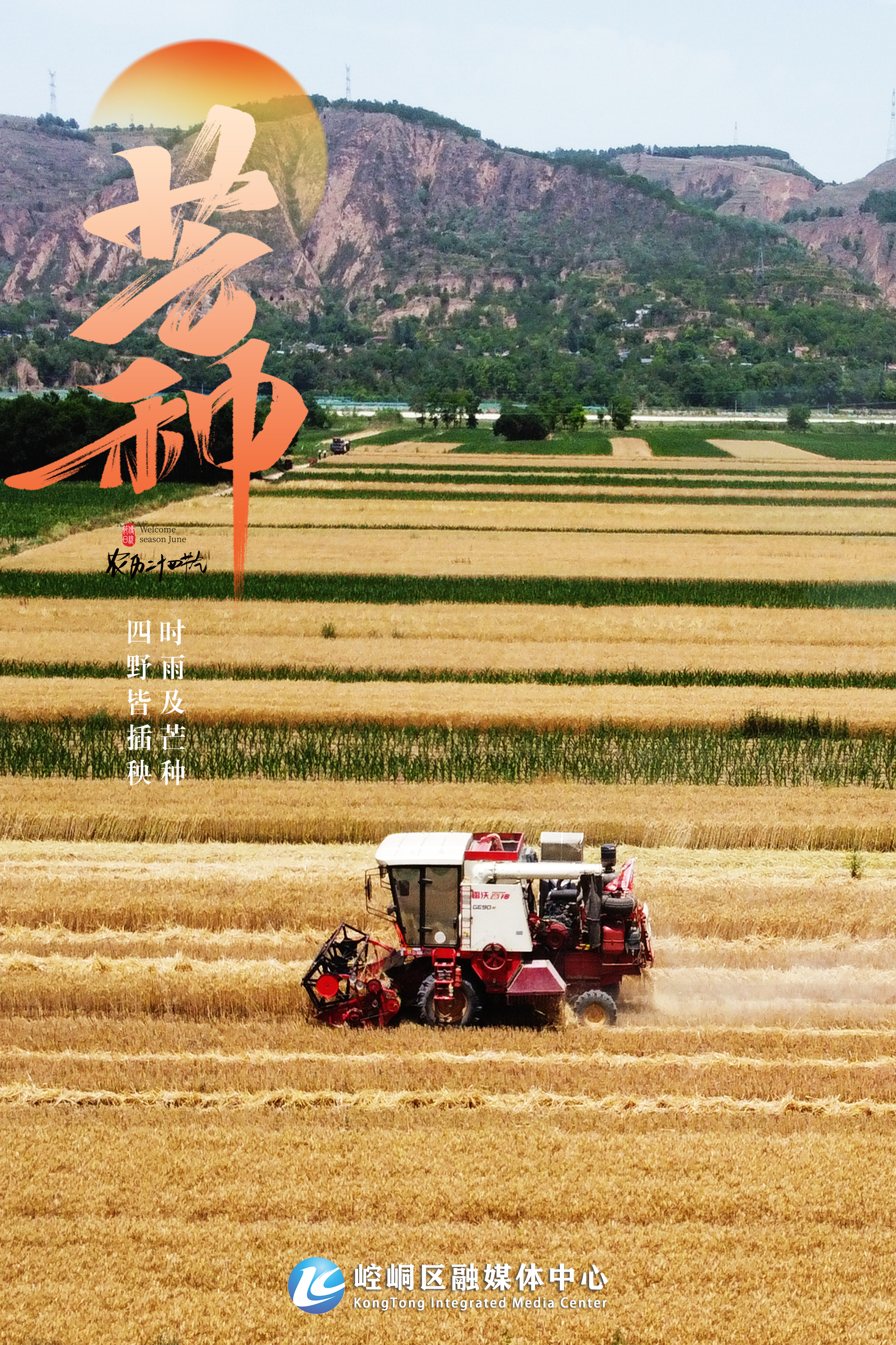 芒种2.jpg