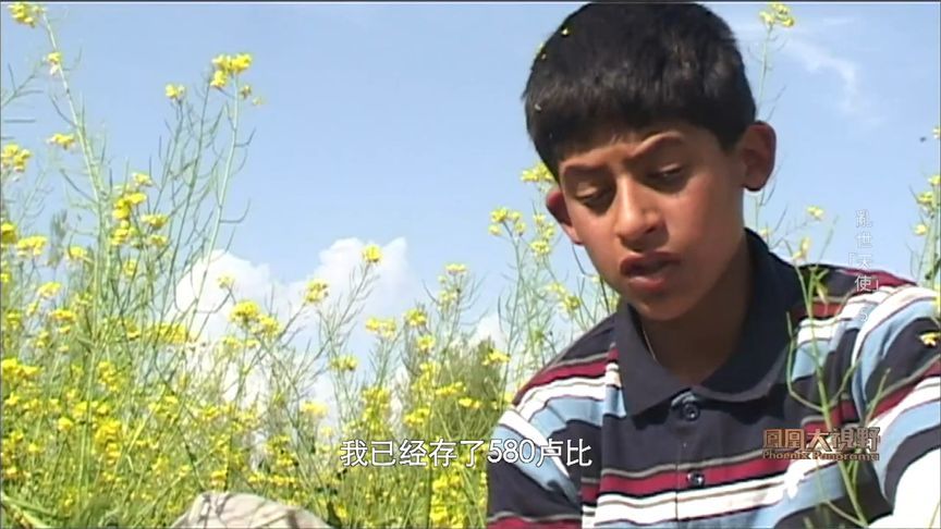 当我们欢庆六一，克什米尔孩子却在炮弹堆里“讨生活”