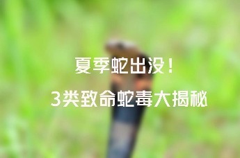 夏季蛇出没！3类致命蛇毒大揭密