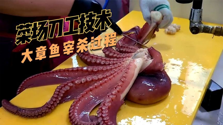 巨型章鱼的宰杀过程，菜市小哥刀法看似随意，其实已有8年功力