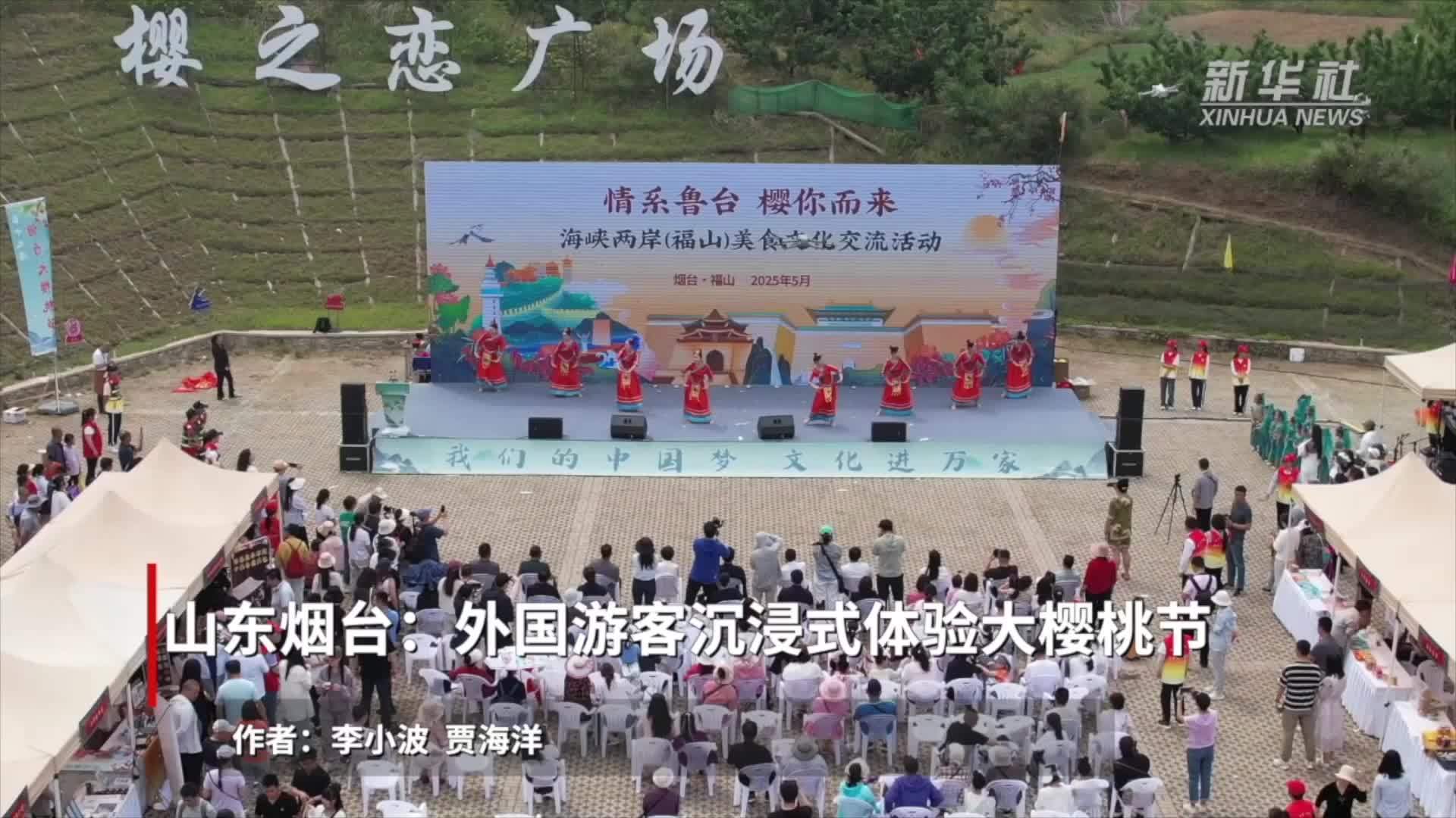 山东烟台：外国游客沉浸式体验大樱桃节