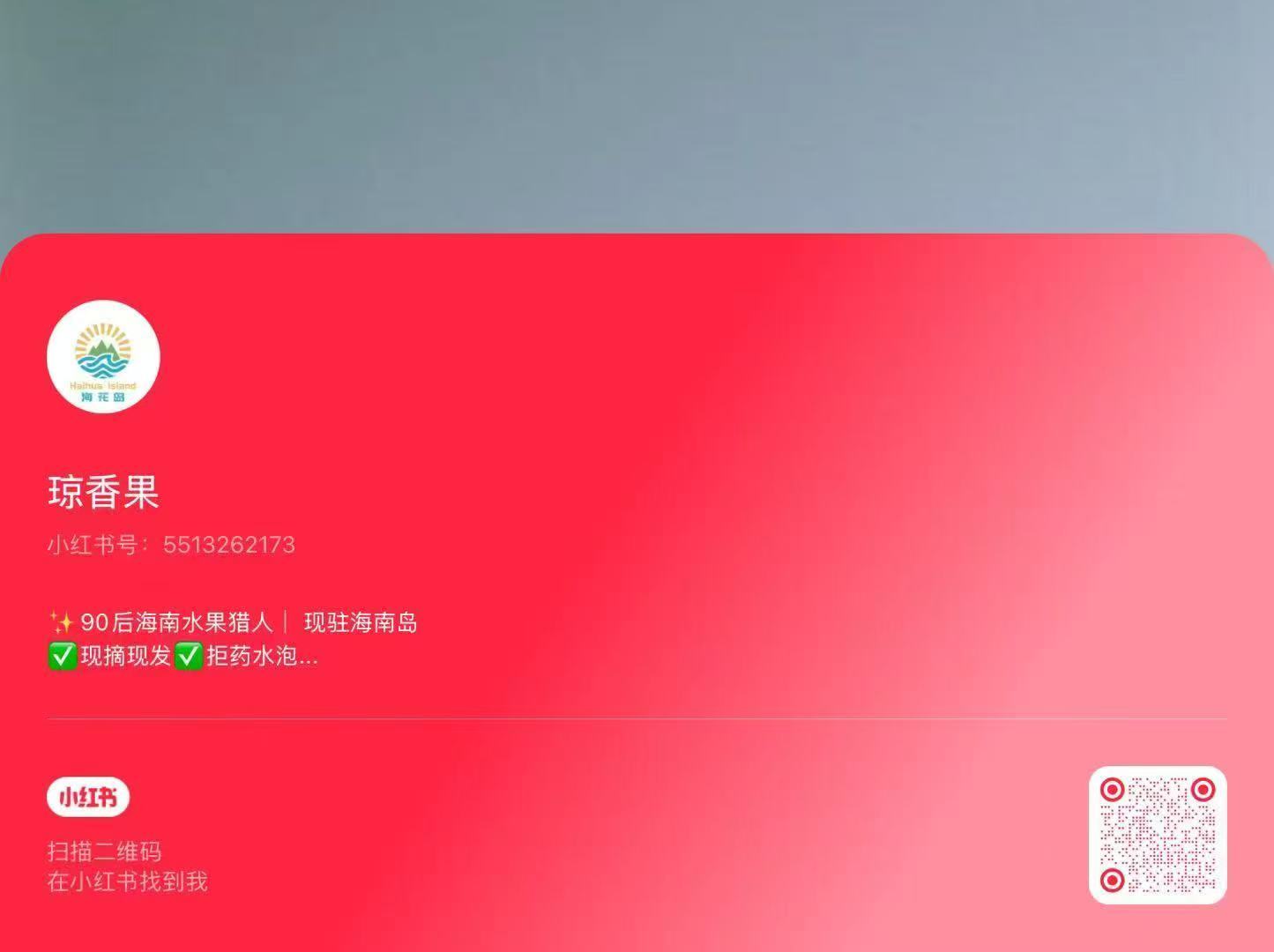 海南火山荔枝王：九零后美女创始人与水果猎人团队的匠心臻选