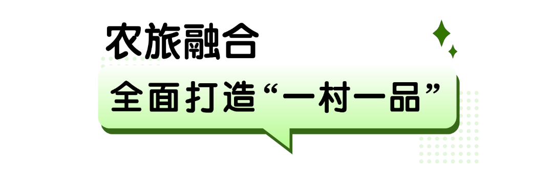 报名类的1 (2).png