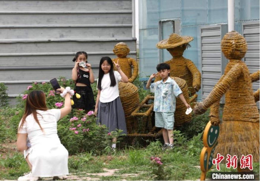 稻田寻宝、牧场奇遇、插秧比赛……端午节当天，在河北省沧县兴济镇南堤村盐碱稻田乐园里，200多个家庭参与“盐碱稻田寻宝季”活动，感受别样端午。图为小游客在河北省沧县兴济镇南堤村的盐碱稻田乐园中与稻草人合影。 田博 摄