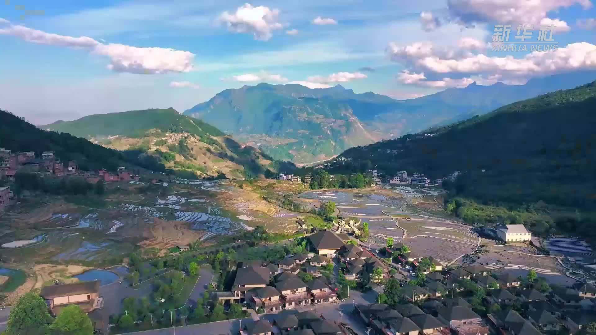 云南金平：守护“蝶变”的故乡