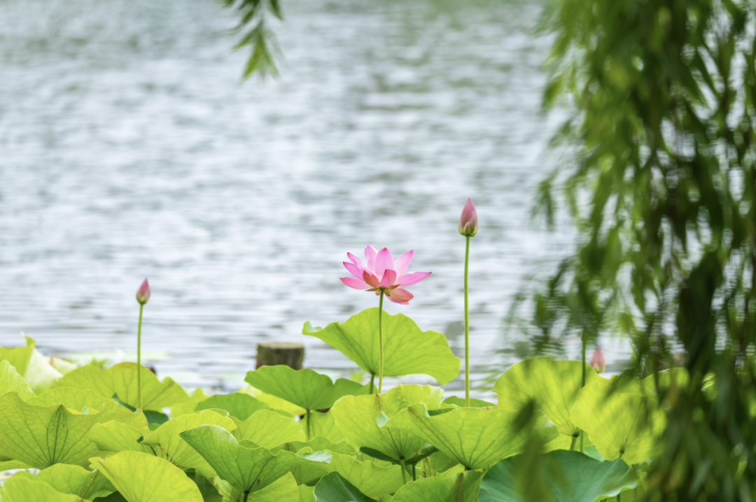 24067c056eeae8c8c2811a5a6130b02.png
