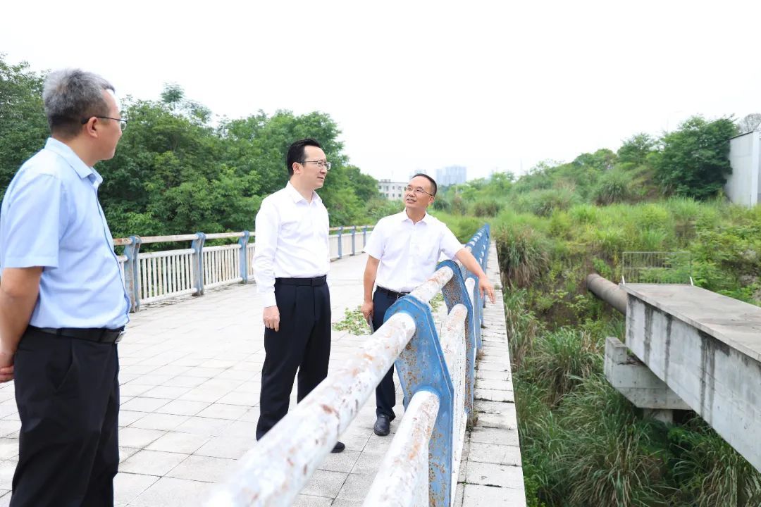 6月4日上午，区委书记、区总河长祁美文前往井口街道调研生态环境保护工作并开展嘉陵江沙坪坝段巡河。文胜/摄