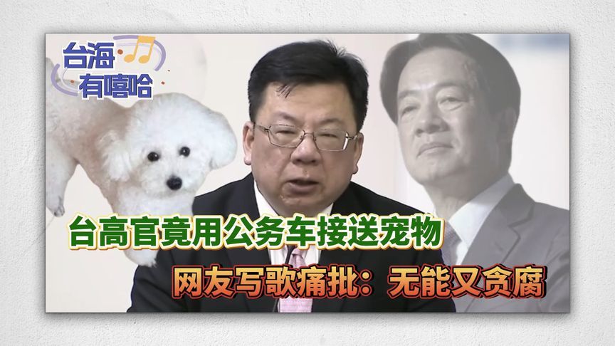 赖清德亲信竟用公务车接送宠物，网友写歌痛批：无能又贪腐