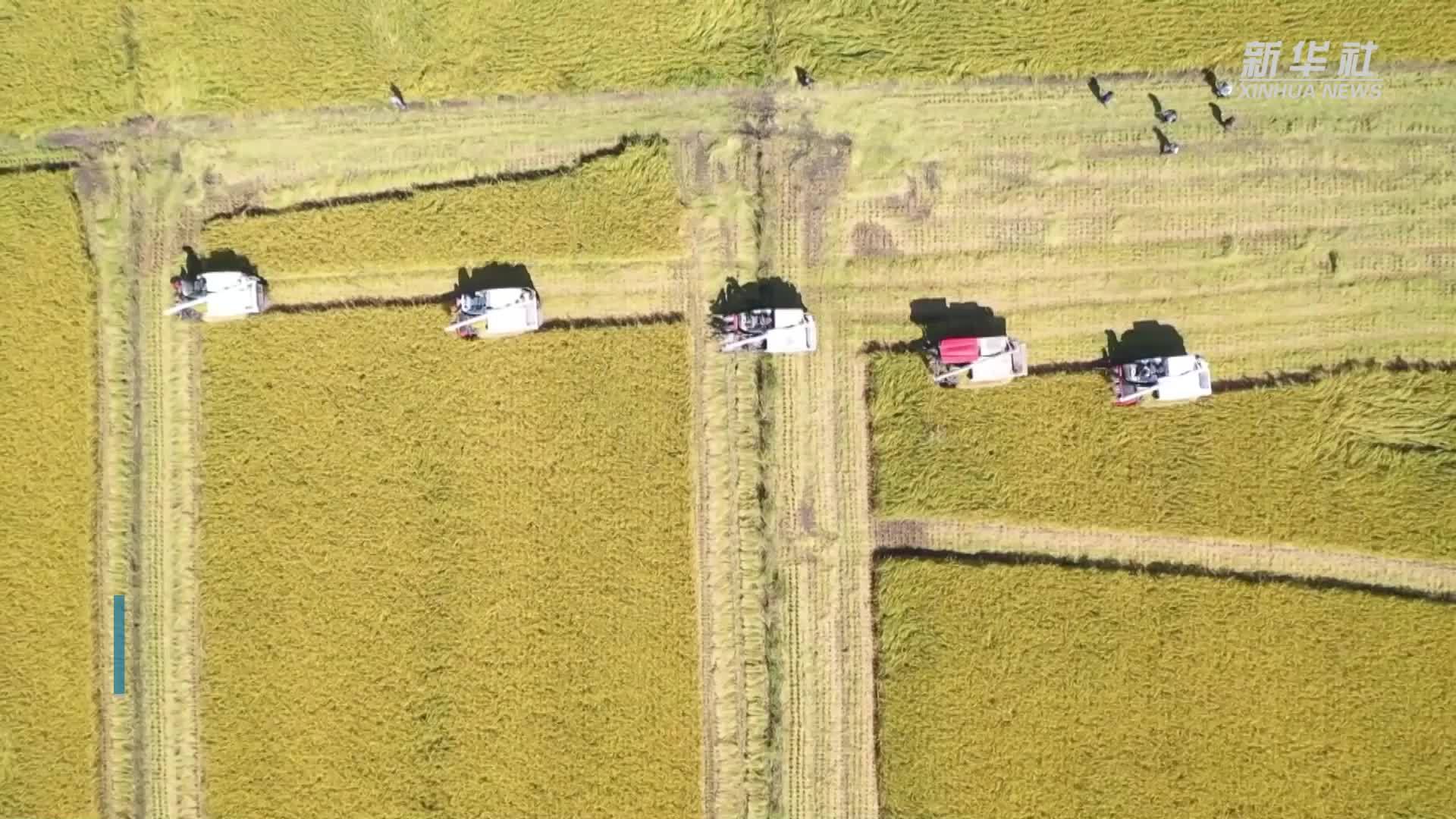 一分钟带你走近“四农普”