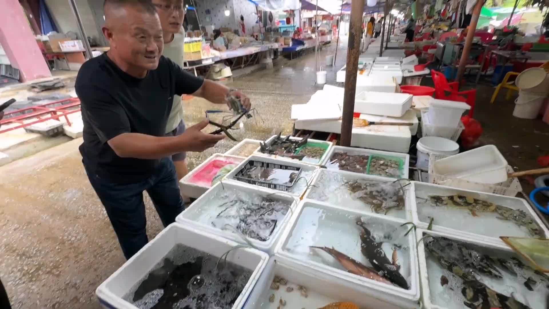 1000买2条剧毒玫瑰毒鲉，据说是世界上最毒的鱼，炖上鸽子补一补