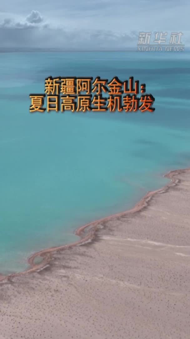 天山南北·漫行拾光｜新疆阿尔金山：夏日高原生机勃发