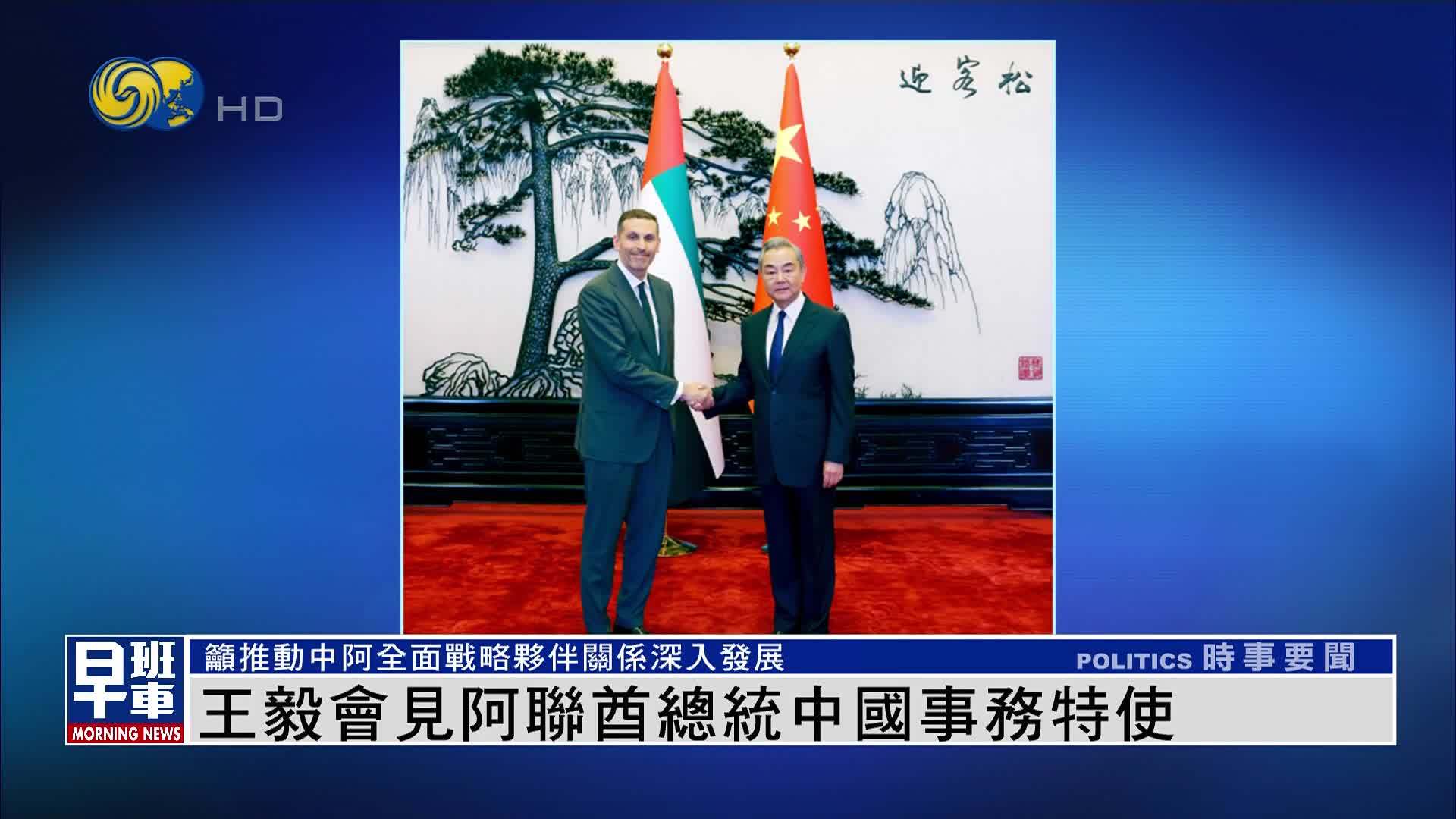 王毅会见阿联酋总统中国事务特使 吁推动中阿全面战略伙伴关系深入发展