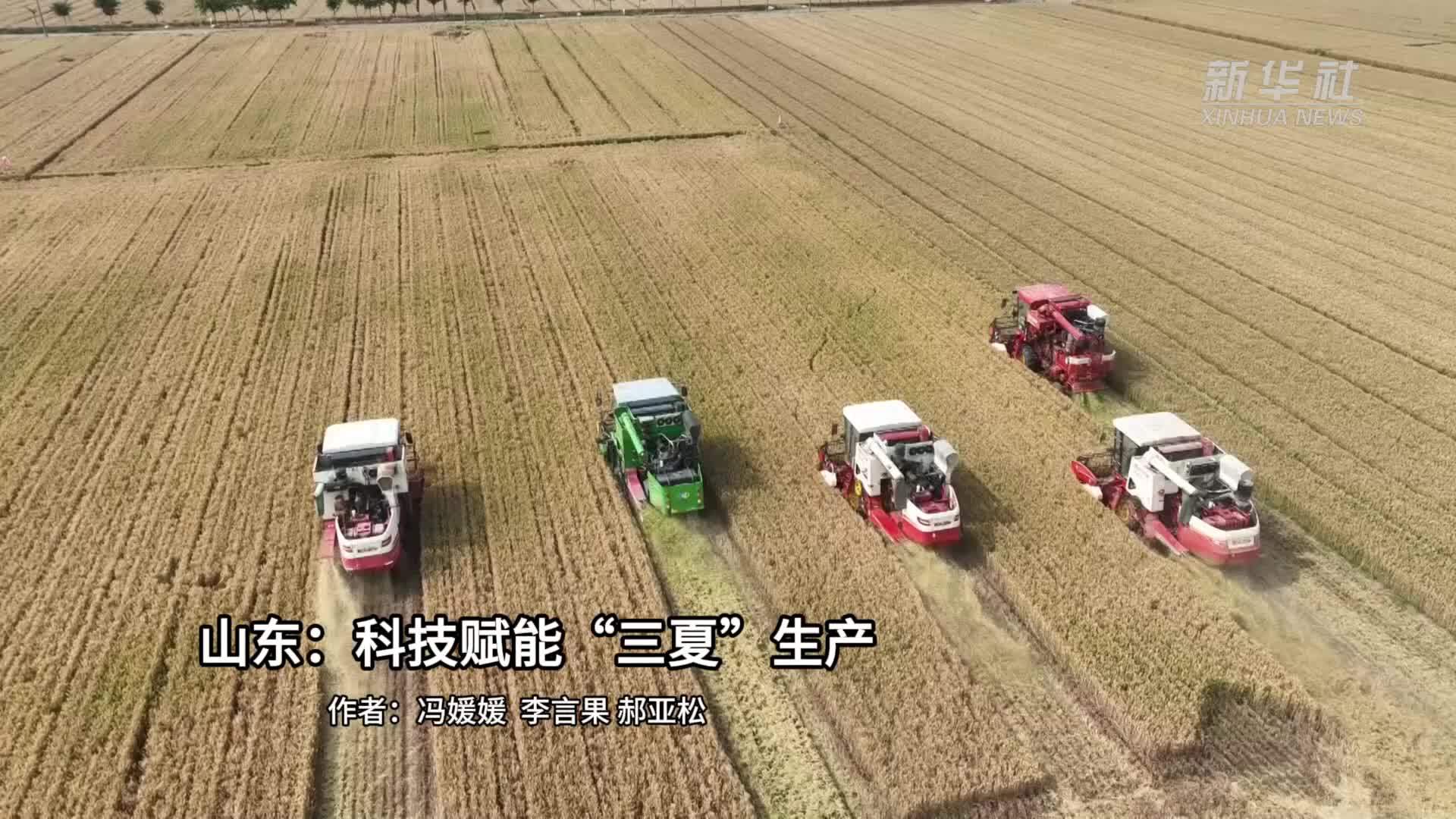 山东：科技赋能“三夏”生产