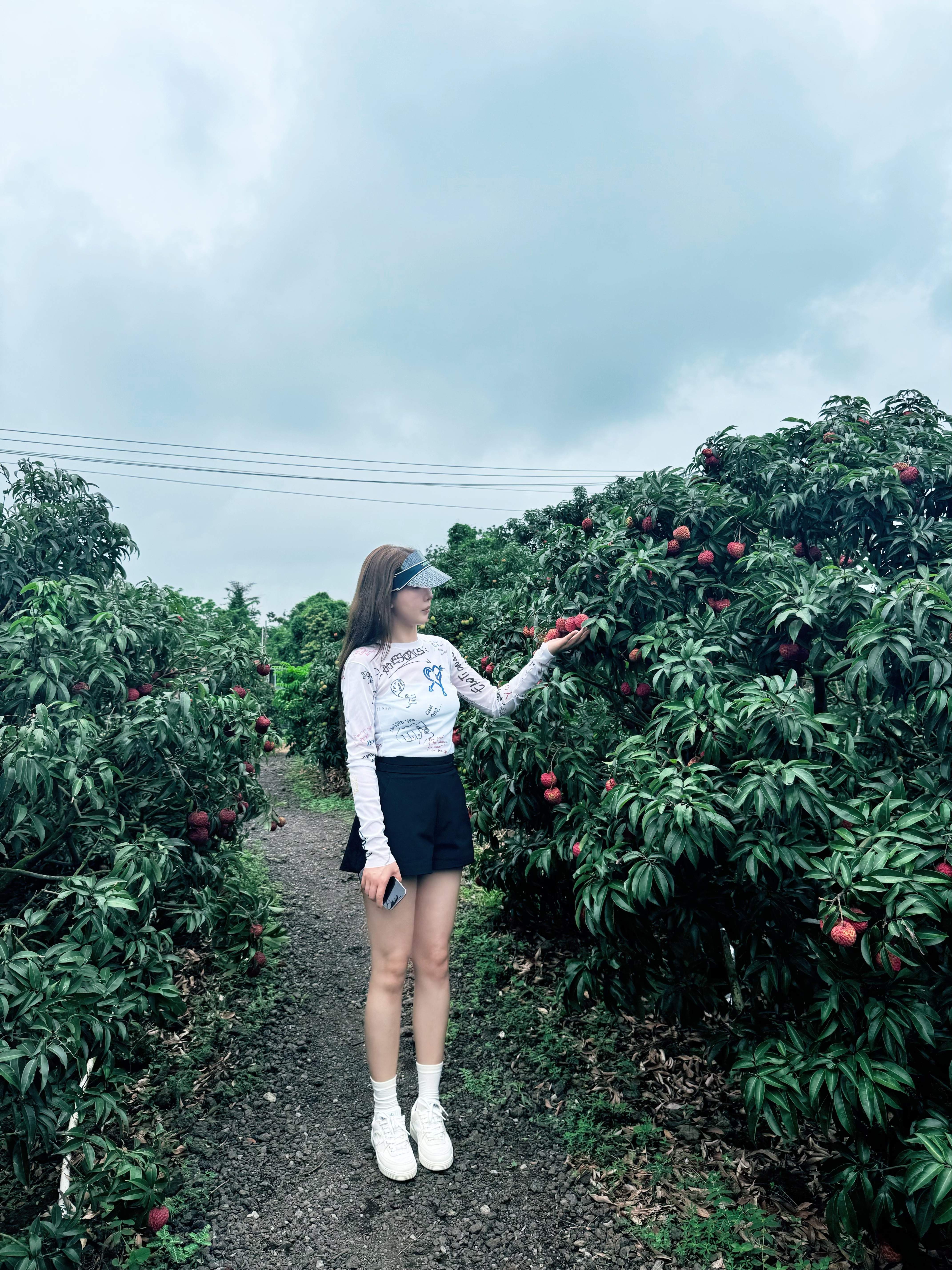海南火山荔枝王：九零后美女创始人与水果猎人团队的匠心臻选