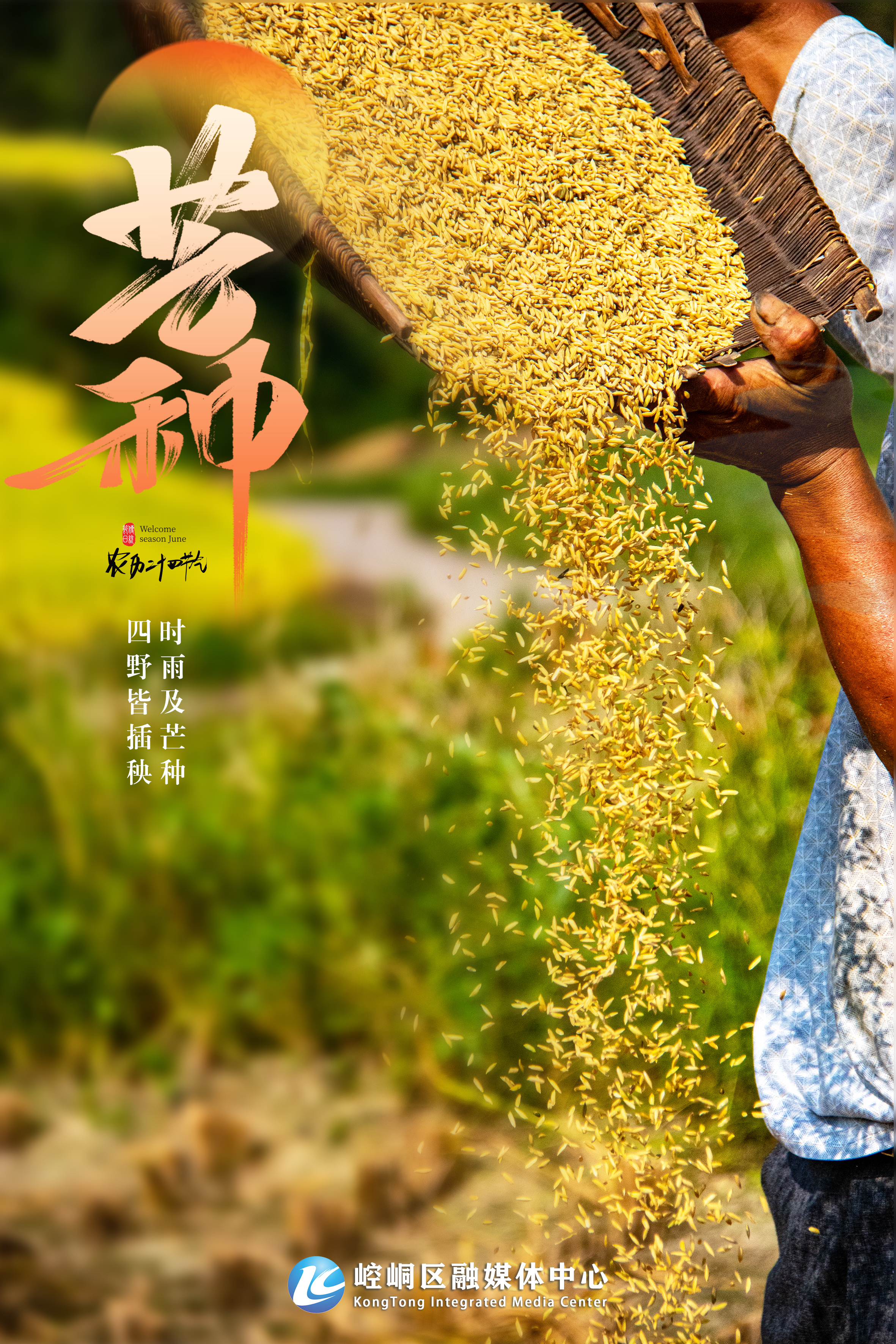 芒种1.jpg